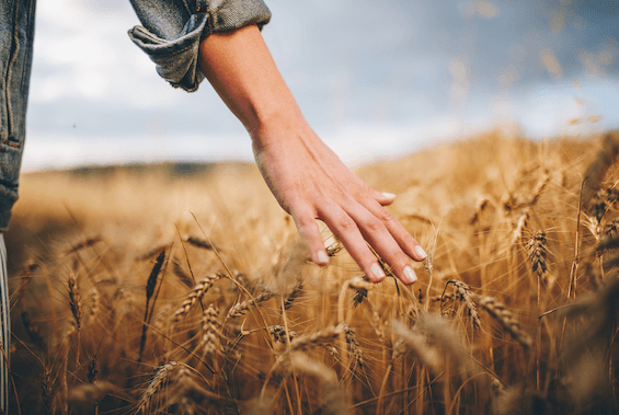 Libération du pervers narcissique